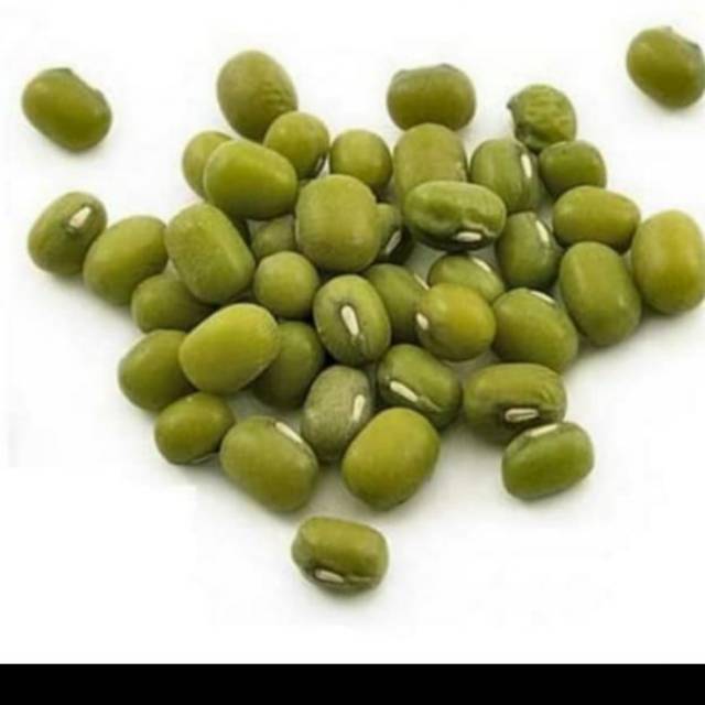 

Bibit Kacang Ijo - Kacang Ijo Fresh Untuk Bubur Takjil