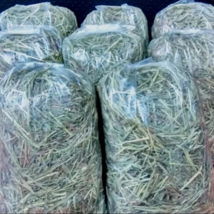 Timothy Hay 200gr Rumput Kering Makanan Kelinci Timoty Repack 200 gr