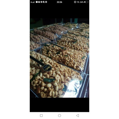 

Kacang Bawang Plecet