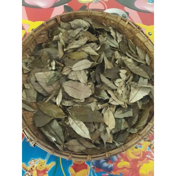 

Daun Pala kering ,jemuran matahari,daun pala kering 100 gram