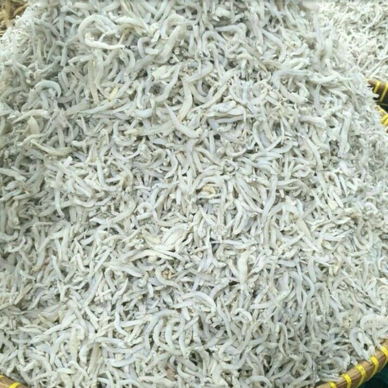 

ikan teri nasi medan