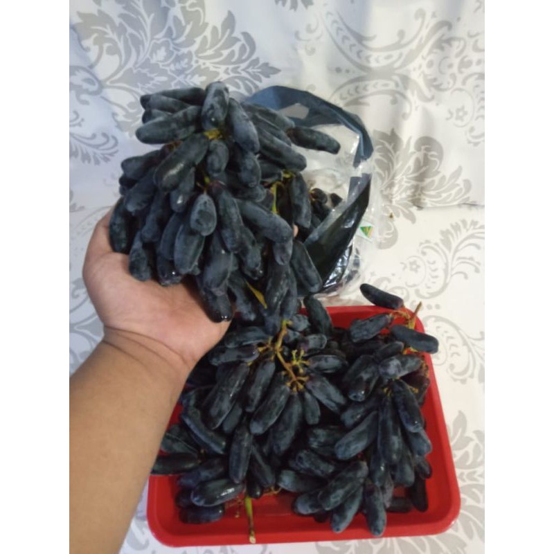 

BUAH SEGAR ALBAROKAH-ANGGUR MONDROOP /ANGGUR PANJANG/ANGGUR JARI