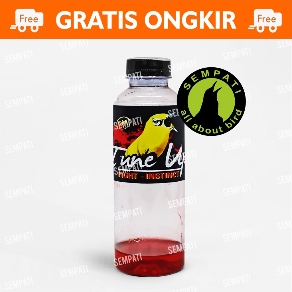 Tune Up Fight Instinct Multivitamin Minuman Burung Pleci Vitamin Doping Pendongkrak Stamina Birahi Mental Tempur Burung Pleci Gacor Ngalas Ngerol Suplemen Pleci Lasrol