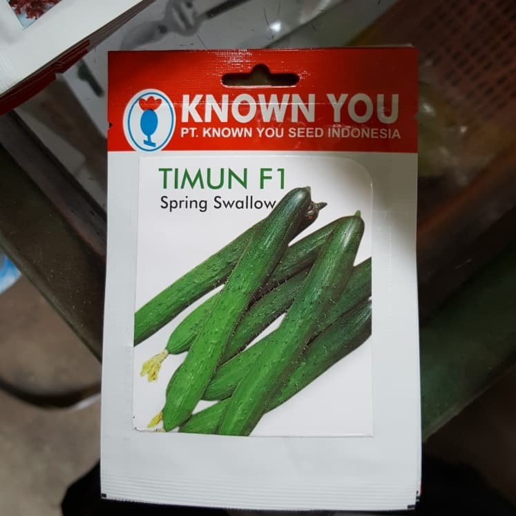 benih / bibit timun f1 spring swallow (Known You Seed)