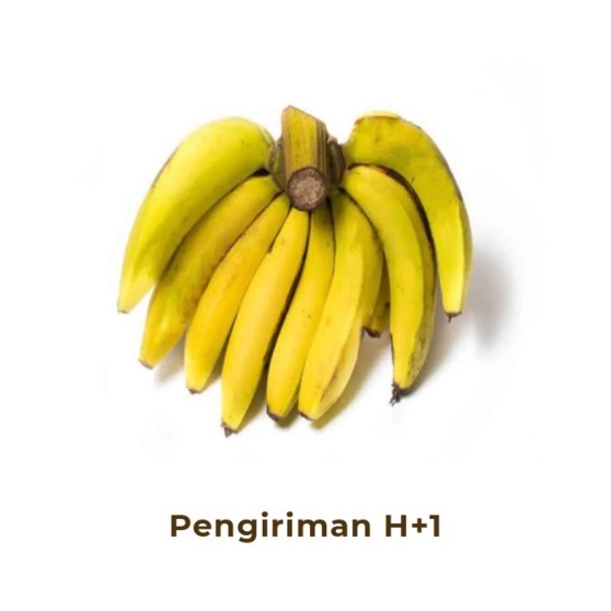 

Pisang Ambon Segar 1 Sisir