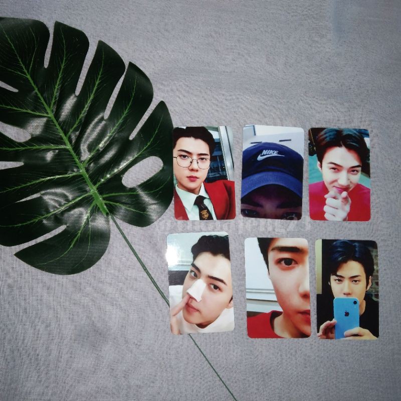 Photocard Unofficial Sehun EXO-SC What a Life