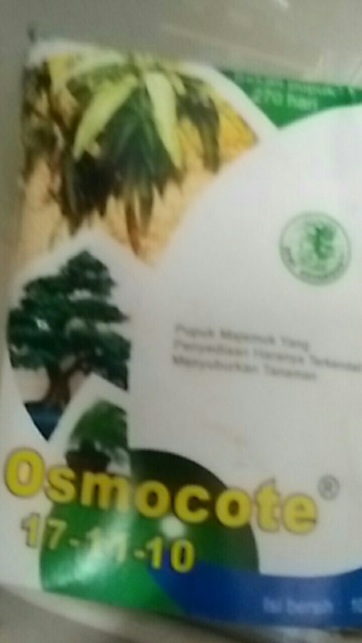 Pupuk Bunga Buah Dekastar Plus Osmocote 6-13-25 100 Gr