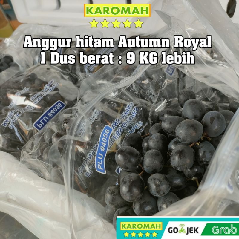 

BUAH ANGGUR AUTUMN 1 DUS BERAT 9 KG / buah anggur hitam autumn manis tanpa biji manis 1 dus besar