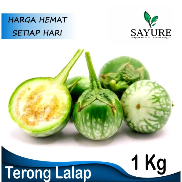 

TERONG LALAP TERONG HIJAU MURAH 1 KG
