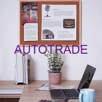

BI-SILQUE CORK PIN BOARD / PAPAN MADING KAYU FIBRE 60X45CM SERBAGUNA
