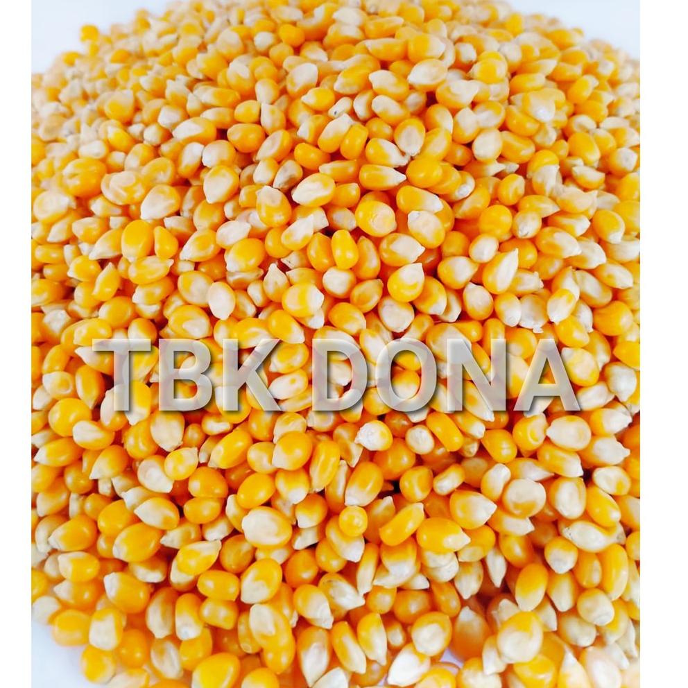 

(PRODUK YWAP8) Jagung PopCorn 1 kg