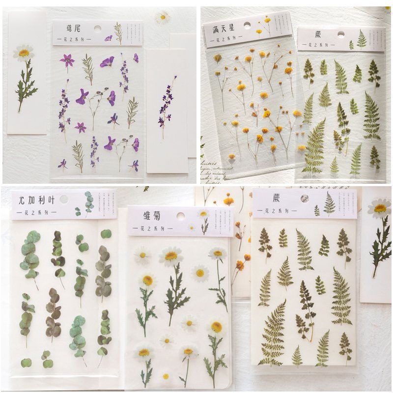 

NL~ Transparent Flower PET Waterproof Sticker