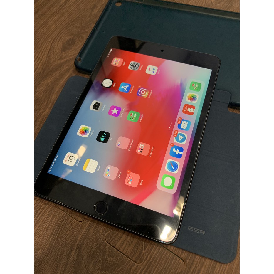 [Tablet Second] iPad mini 5 2019 256gb Wifi only Grey Tab