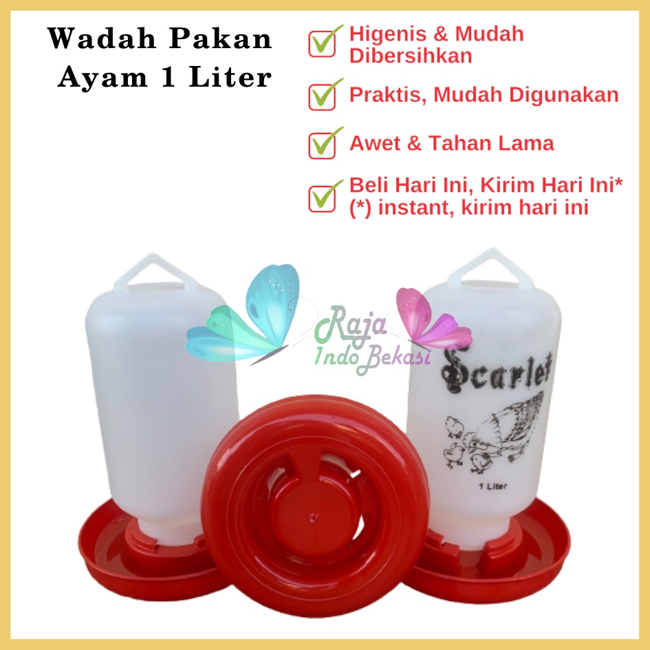 Tempat Makan Ayam Kapasitas 1 Liter 1 Kg SCARLET Wadah Pakan Ayam Anti Tumpah Ransum Wadah Makan Ayam Anakan Plastik 1 Kg - TEMPAT MAKAN AYAM / RANSUM / TRA1K MEDION KAPASITAS 1KG WADAH PAKAN BREEDING TERNAK ANAK AYAM RNS1KG