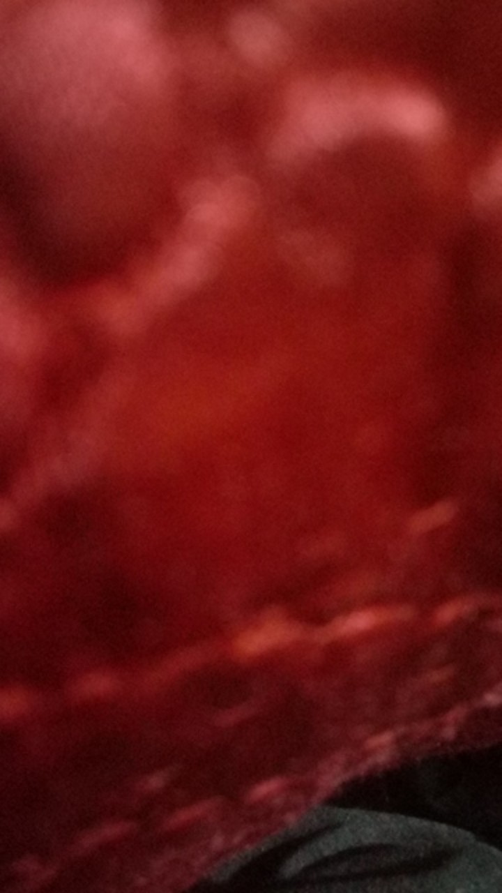 Miniso Official Hook Contemporary Series Crystal Epoxy Hook (4 Pack)