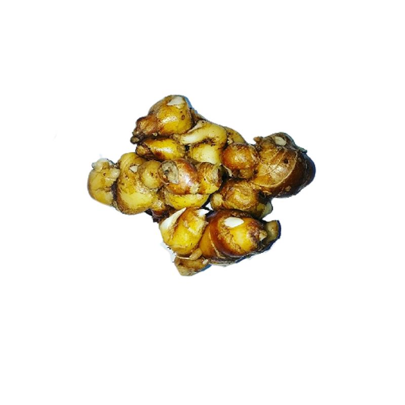 

KENCUR / KENCUR SEGAR / KENCUR PUTIH 250 Gram