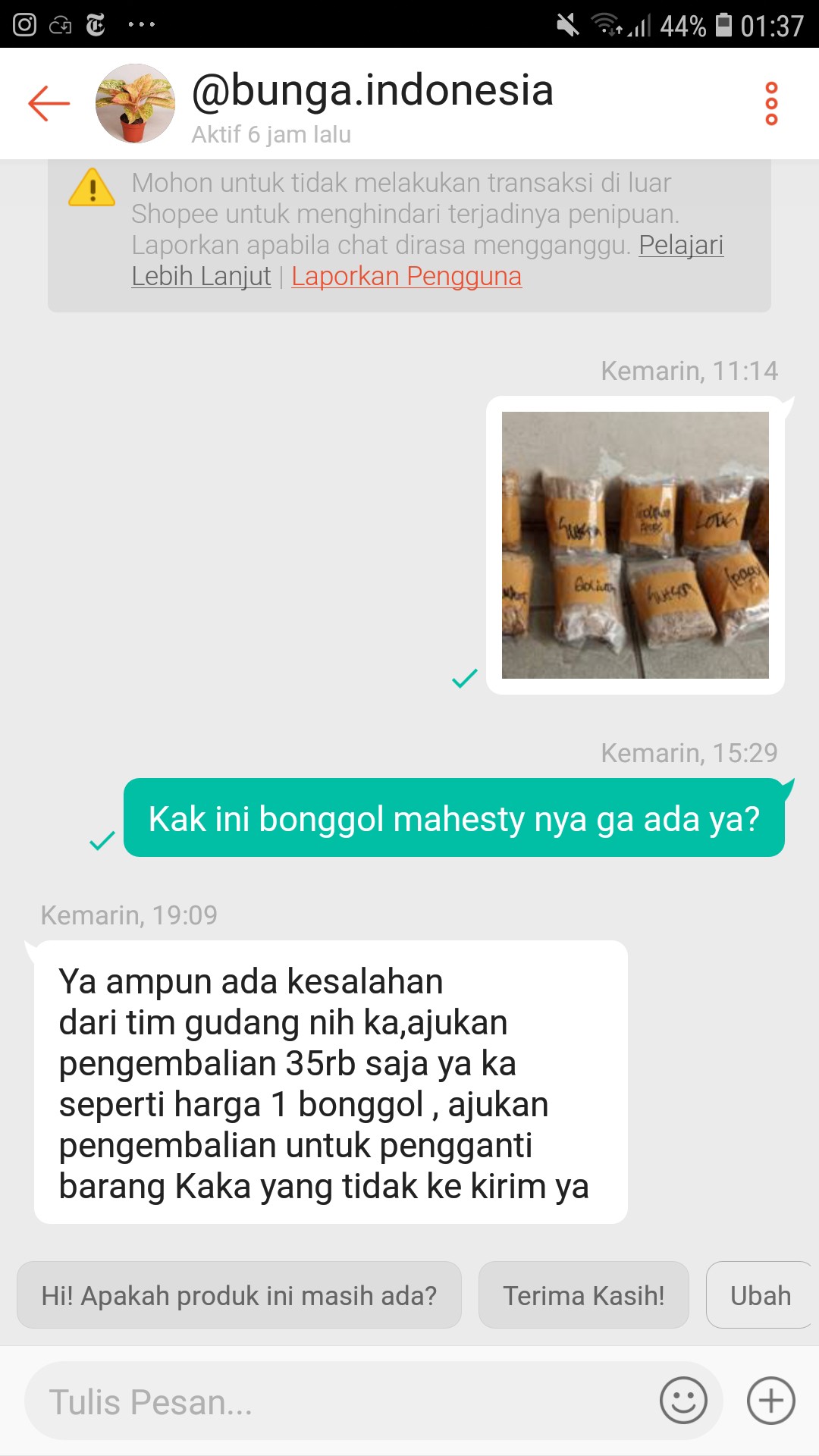 Bonggol Bunga Aglonema Golden Hope