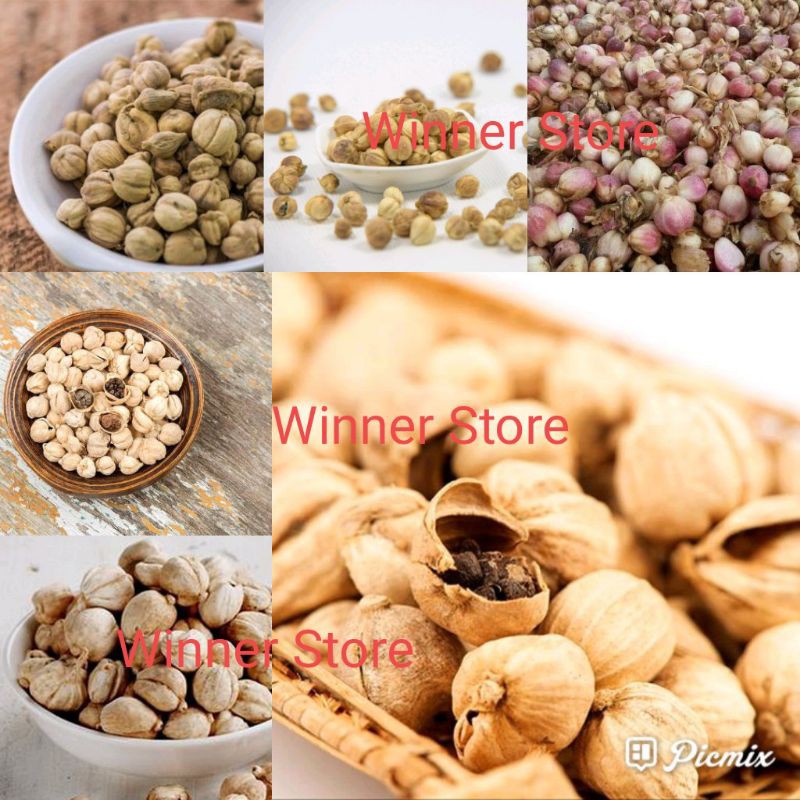 Bibit Benih Kapulogo Putih (± 25 Butir)