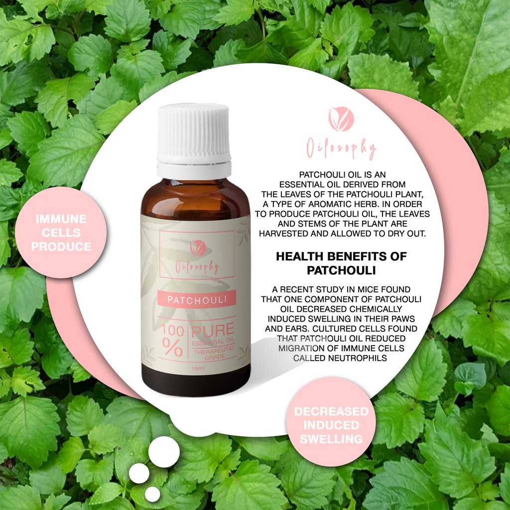 PATCHOULI ESSENTIAL OIL | MINYAK NILAM | PURE 100% ESSENTIAL OIL