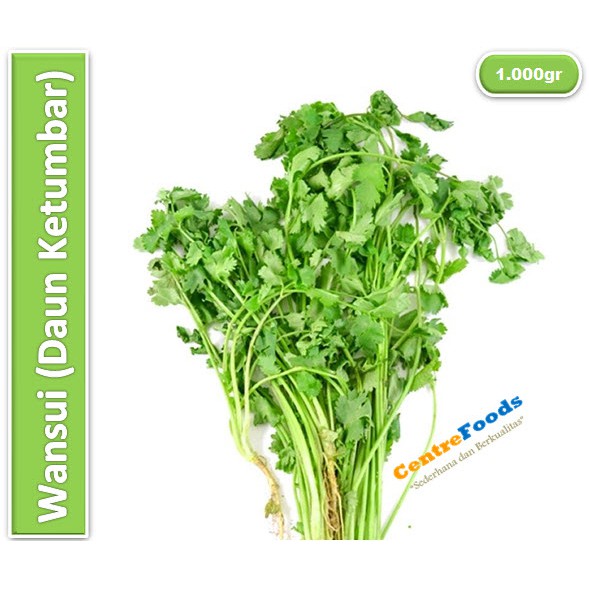 

Wansui | Daun Ketumbar [ Harga Per KG ]