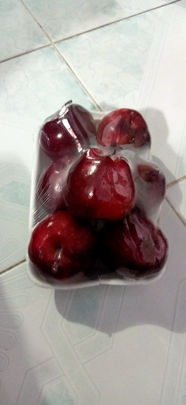 Tekiro Gergaji Besi 12inch Hacksaw Original