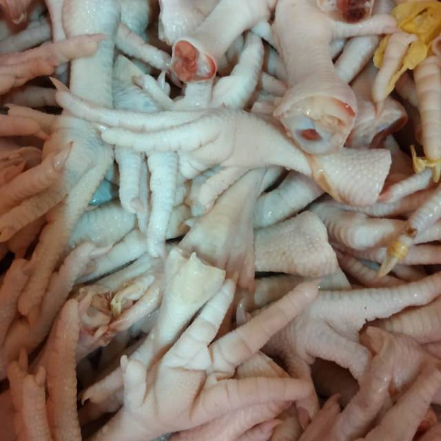 

ceker ayam bloiler fress