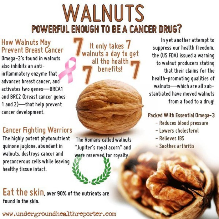 

504Oekho Walnut 250Gr ( Kacang Walnut ) 6J477iyfi