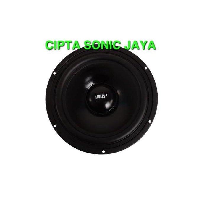 Speaker | Speaker Audax 8 Inch Ax8022 Cw8