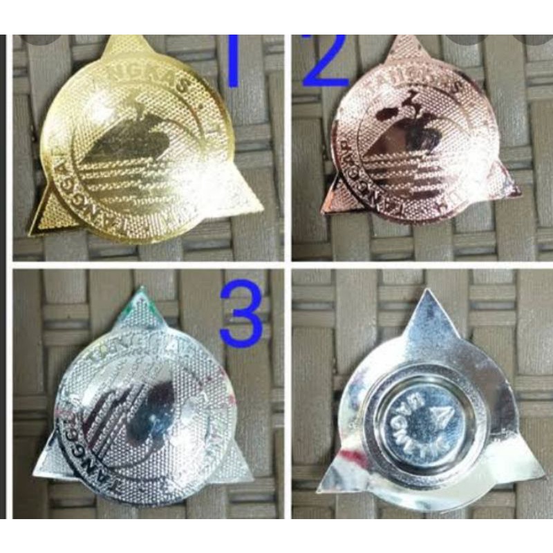 pin bpbd tanggap tangguh tangkas
