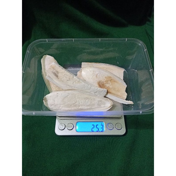 TULANG SOTONG PATAHAN JUMBO 25GR PUTIH BERSIH SORTIRAN GRADE A TULANG SOTONG PAKAN KURA DARAT SULCAT