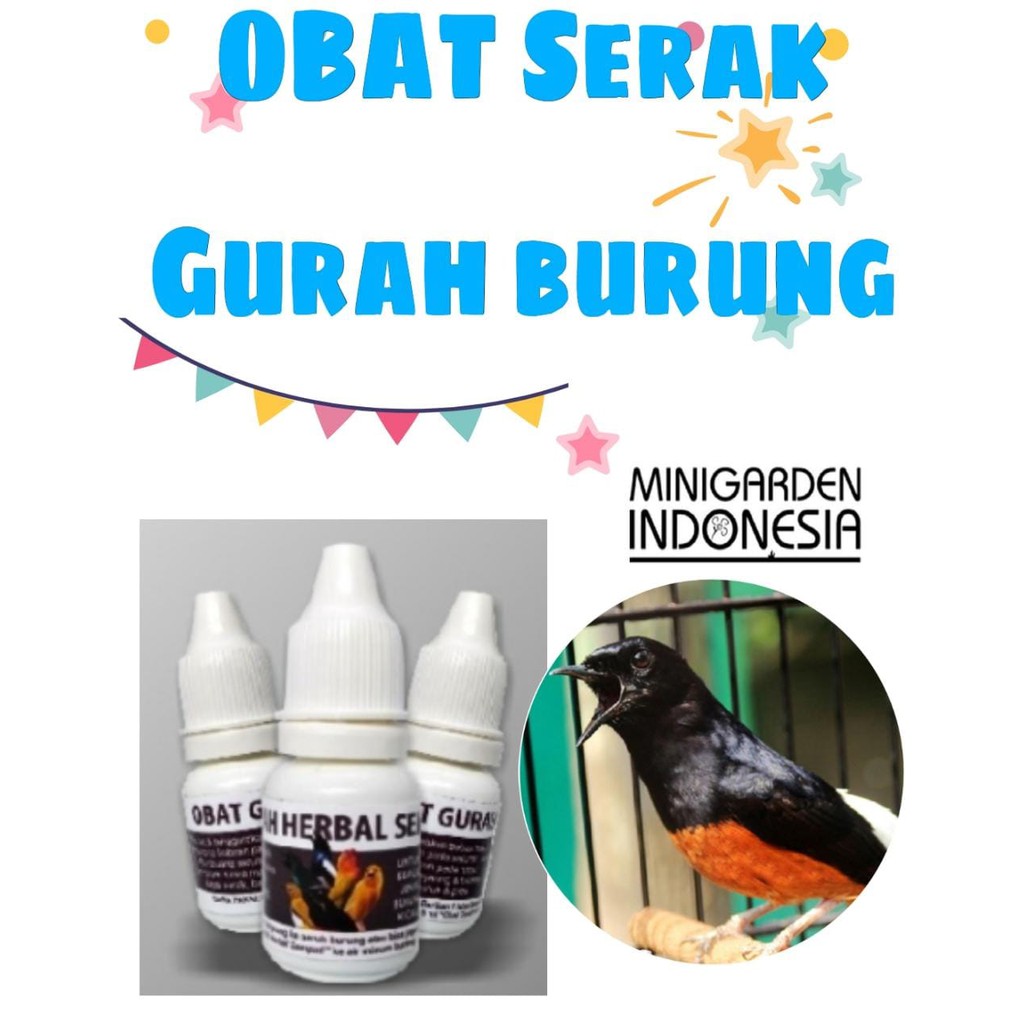 OBAT PENJERNIH SUARA BURUNG anti suara serak berlendir obat gurah burung batuk pilek nafas pendek