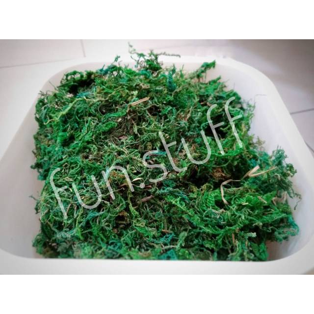 Lumut kering/ rumput kerajinan/ green moss 25gram