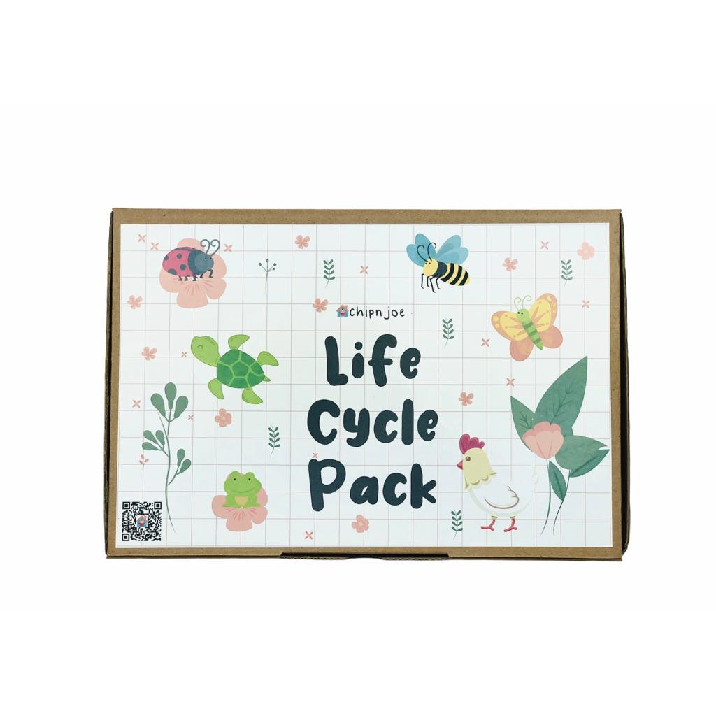 Belajar Daur Hidup Life Cycle Pack Hewan Katak Ayam Lebah Madu Kupu-kupu Kepik