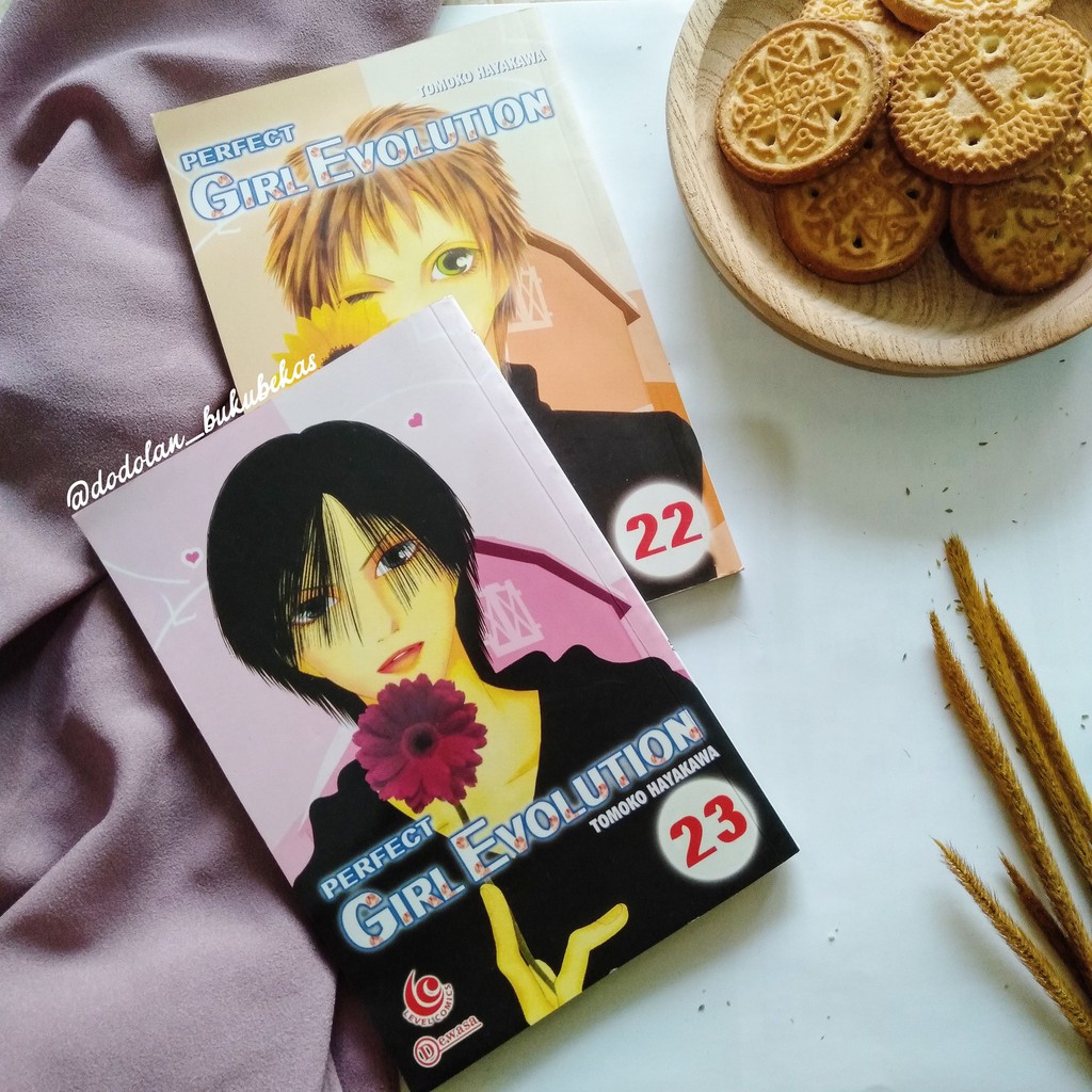 PERFECT GIRL EVOLUTION-TOMOKO HAYAKAWA