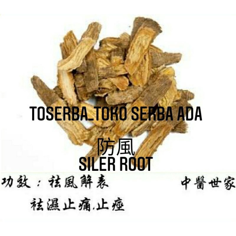 

100gr Herbal Fang Feng 防風 Siler Root / Divaricate Saposhnikovia / Saposhnikovia Root / Saposhnikovia Divaricata / Saposhnikoviae Radix Premium Grade