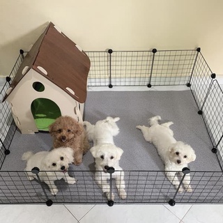 Tempat Tidur Hewan Kandang Rumah kucing kelinci anjing kayu 50X42X60cm