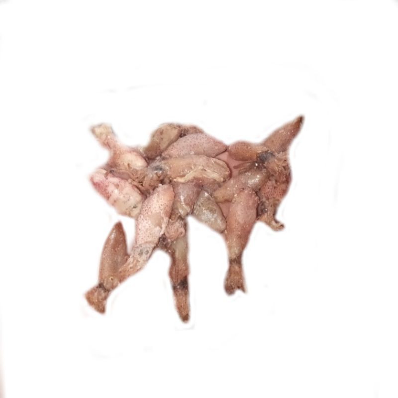 

Baby Cumi Asin Super 100 Gram