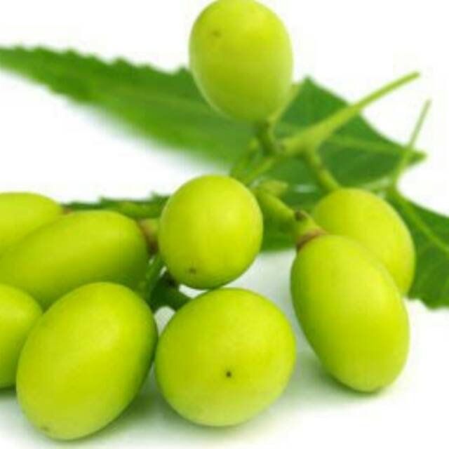 Organic Neem Oil