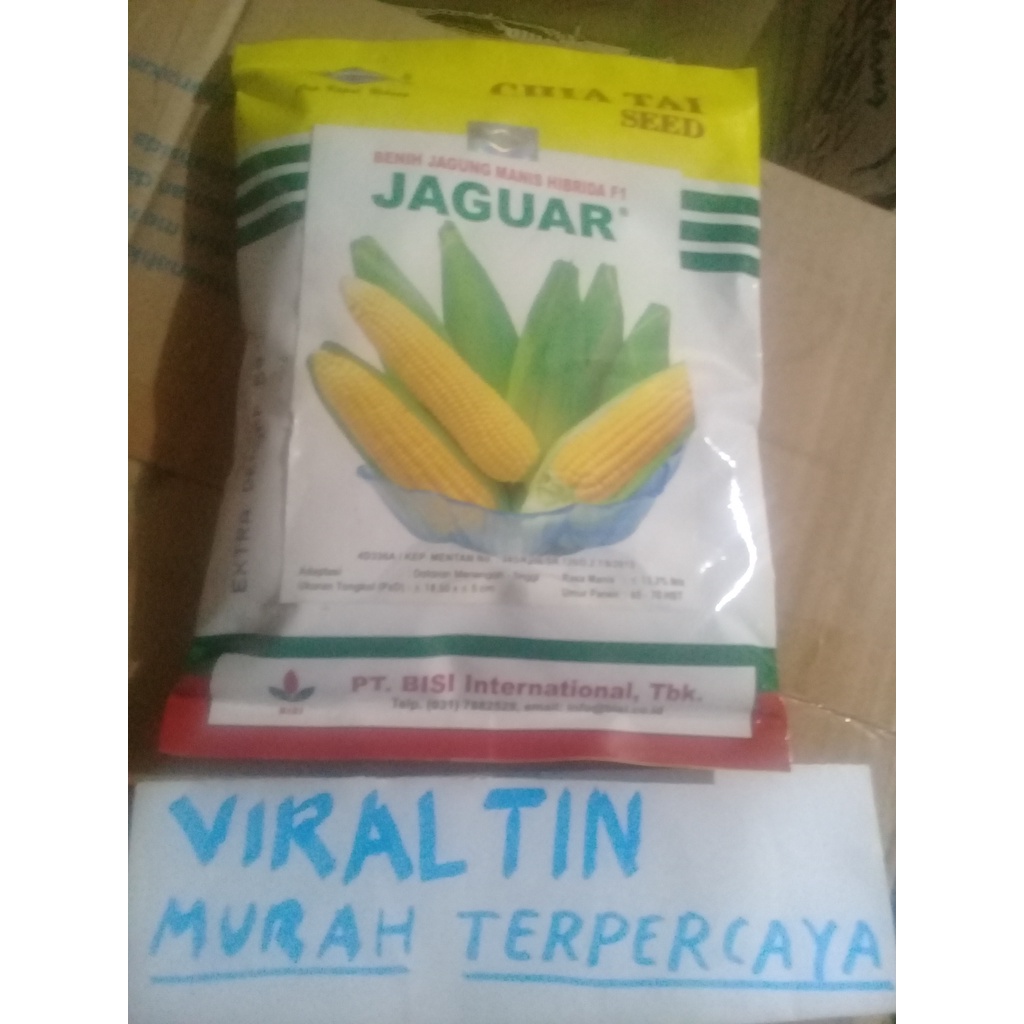 bibit/benih jagung manis jaguar 250 gr