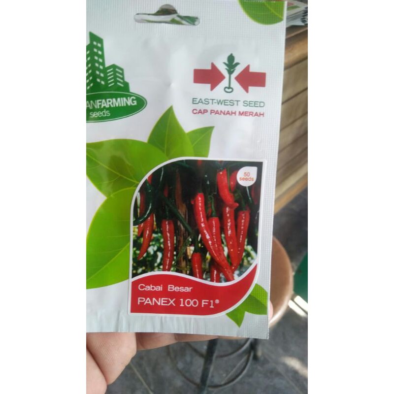 Cabai Besar Panex 100 f1