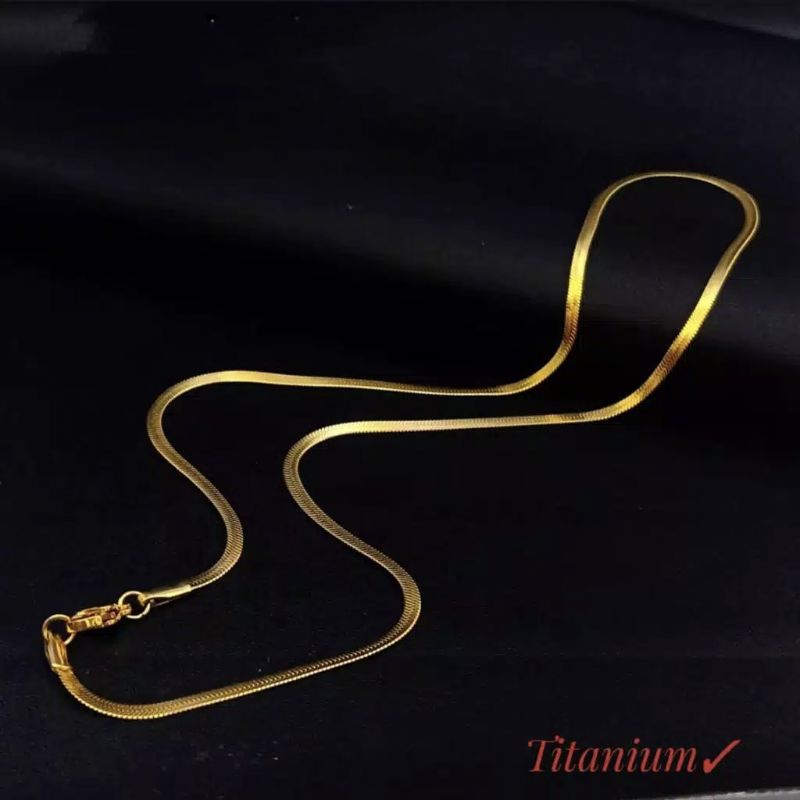 Kalung titanium gold model belut gepeng