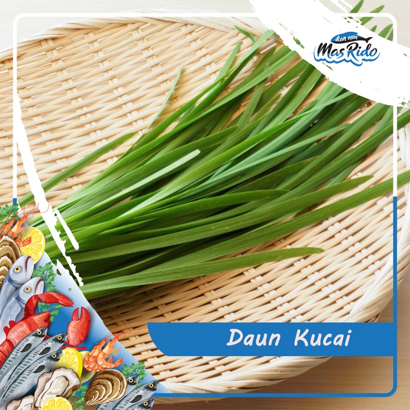 

Daun Kucai Allium Tuberosum Segar Bersih 1 Ikat Premium Harga Murah