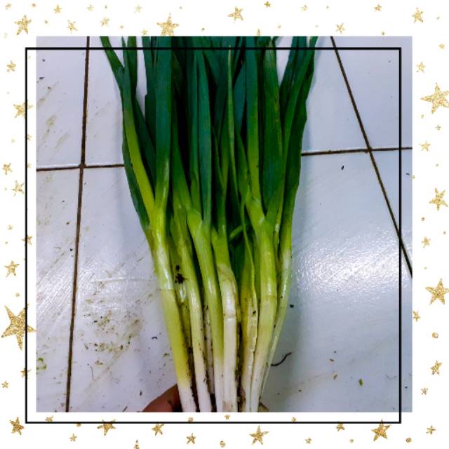 

DAUN BAWANG/BAKUNG 250 GR