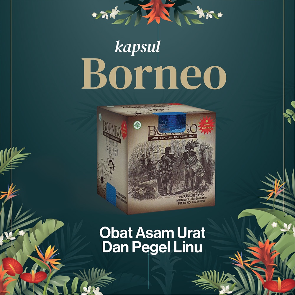 [Cod] Kapsul Asam Urat Borneo Original | Borneo Obat Herbal | Obat Borneo Dayak Asli | Kapsul Borneo