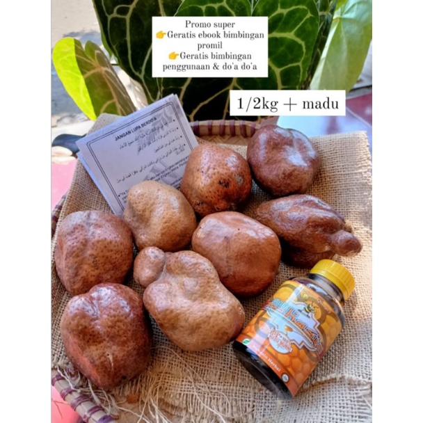 

buah zuriat + 1 madu
