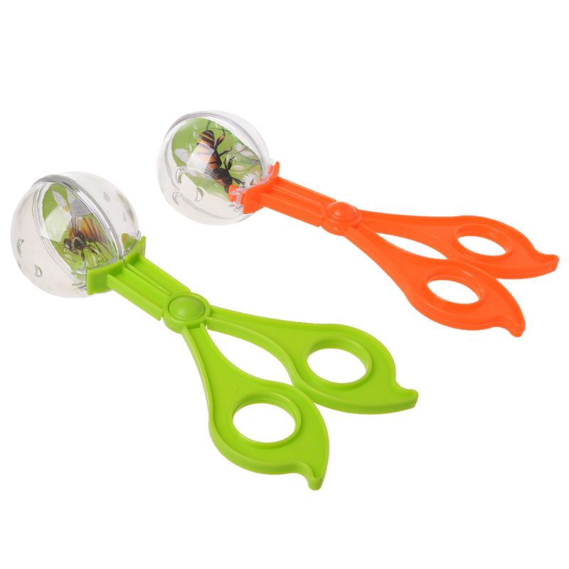 insect catcher toy