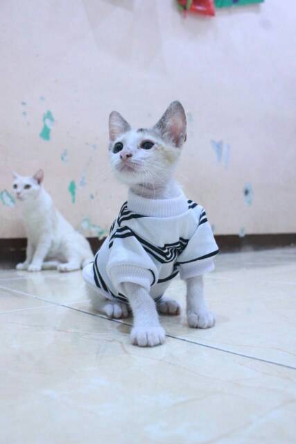 Kaos lengan panjang strip hitam putih untuk kucing dan anjing / baju kucing murah size S M L XL