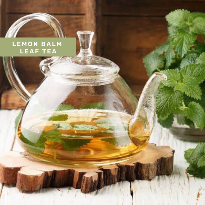 Organic&amp;Joy • Lemon Balm Leaf Tea/Teh daun Lemon Balm Mint/ Melissa officinalis (sehat pencernaan,redakan flu,atasi stress,relaxing,teh herbal daun mint lemon balm,tisane,teh daun mint,teh lavender,teh mawar,teh bunga melati)