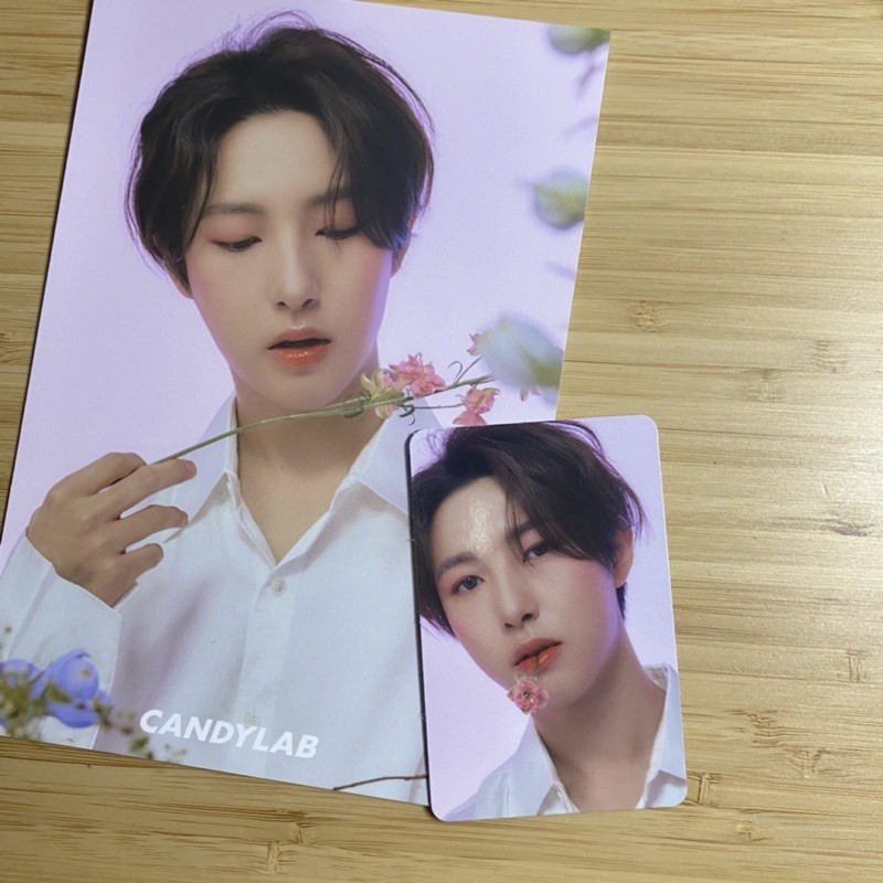 CANDYLAB VOL.4 RENJUN NCT DREAM POSTCARD PC CONCEPT FULL BLOOM