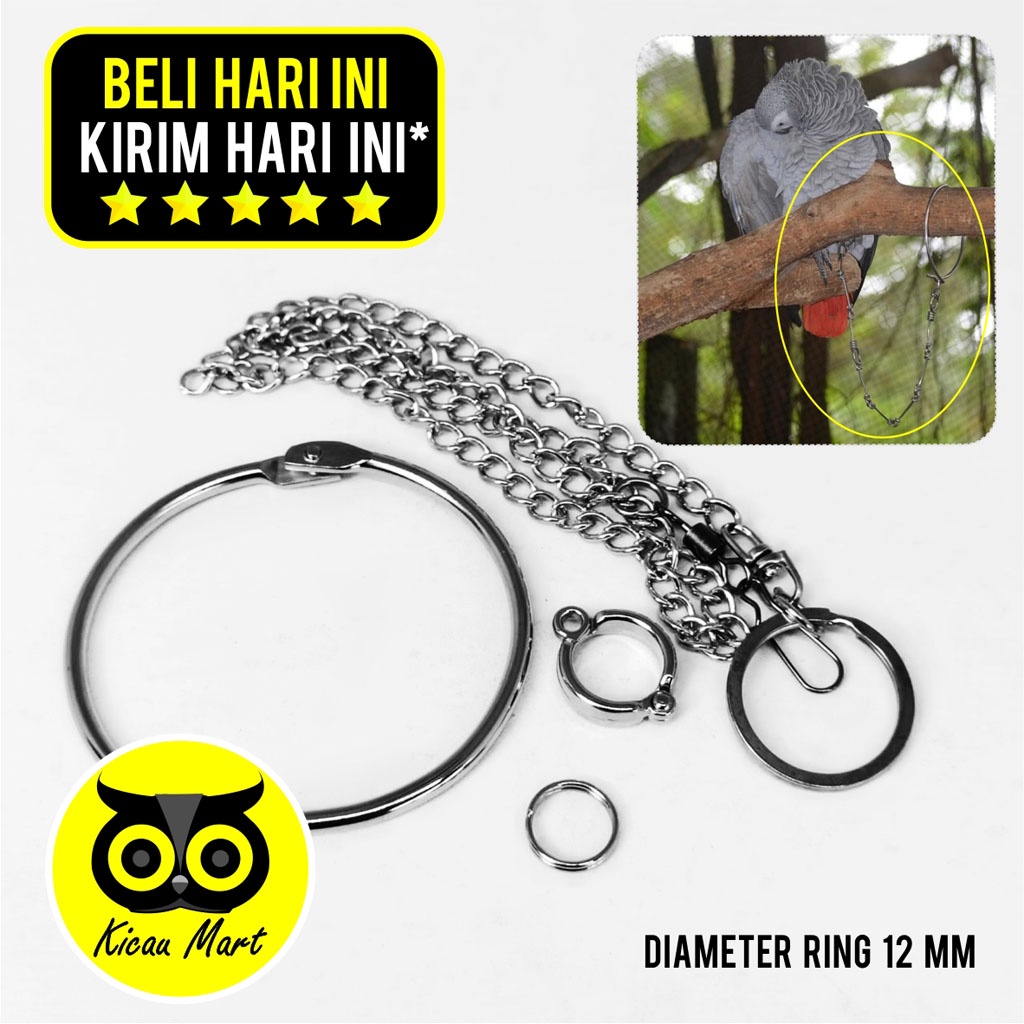 KICAU MART Rantai Kaki Burung Kakatua Free Flying FF 12 MM Borgol Ring Import Rantai Umbaran Latih Kaki Burung Kakatua Cockatoo Bayan African Grey Parrot Caninde Macaw Macau